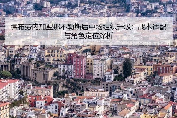 de-bu-lao-nei-jia-meng-na-bu-le-si-hou-zhong-chang-zu-zhi-sheng-ji-zhan-shu-shi-pei-yu-jue-se-ding-wei-shen-xi-2-321.jpg