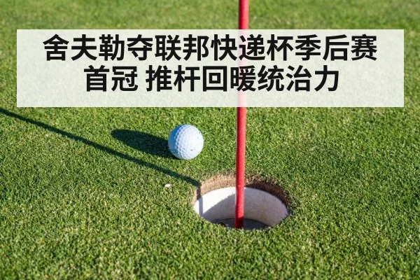 舍夫勒夺联邦快递杯季后赛首冠 推杆回暖统治力