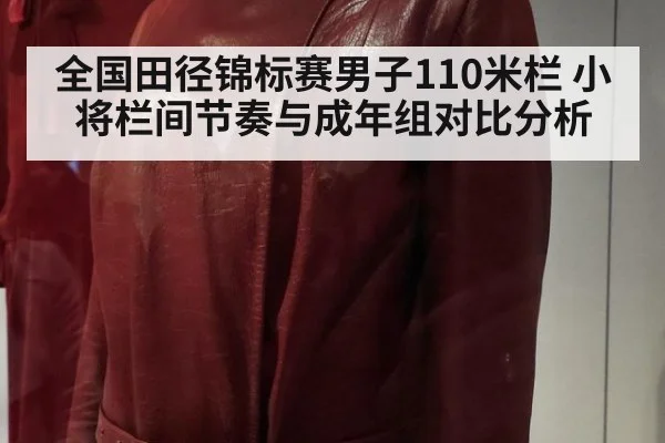 全国田径锦标赛男子110米栏 小将栏间节奏与成年组对比分析